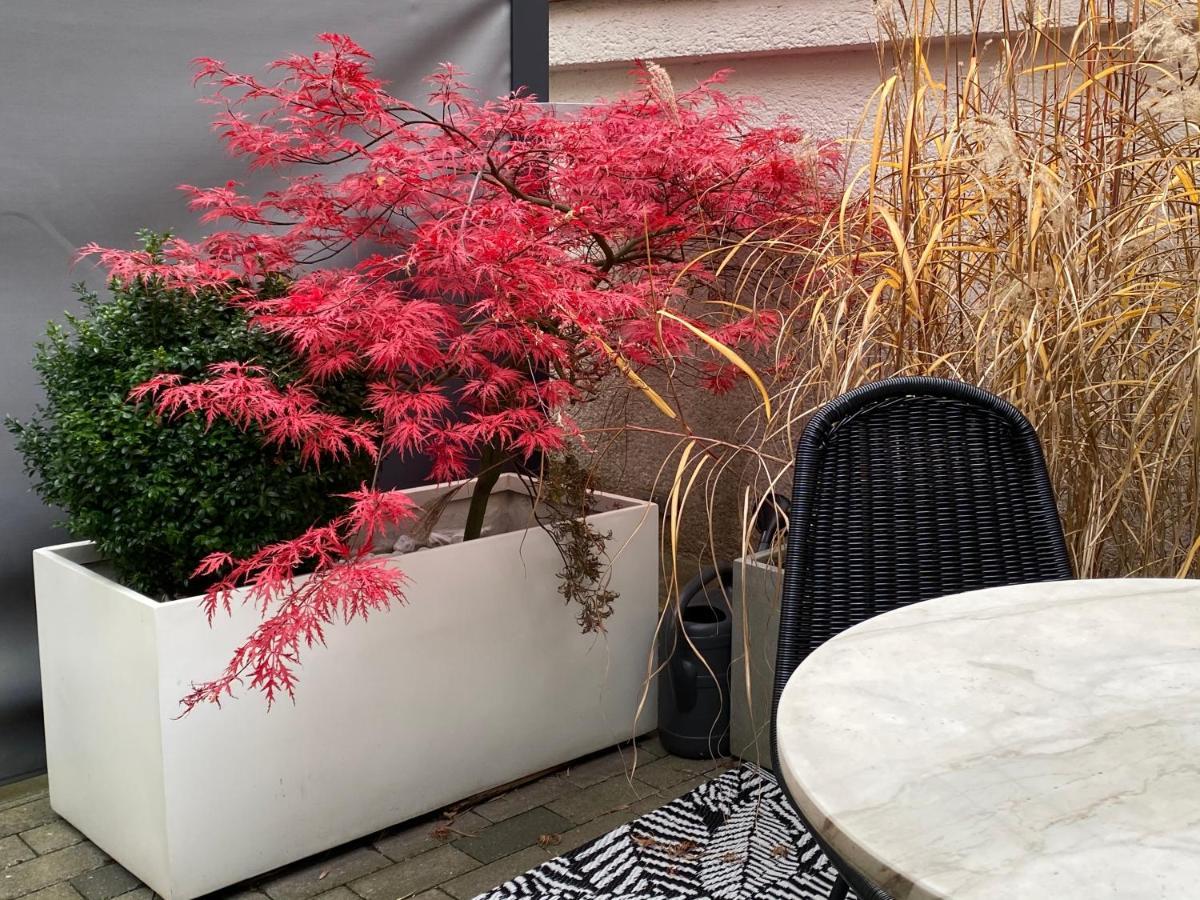 Como Design-Apartment Close To Isar River Area - Centrally Located Mnichov Exteriér fotografie