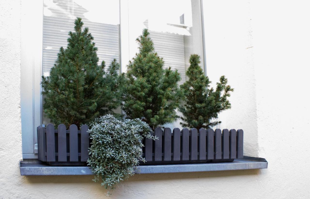 Como Design-Apartment Close To Isar River Area - Centrally Located Mnichov Exteriér fotografie